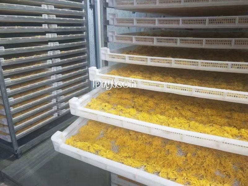 Drytech heat pump dryer use for drying Chrysanthemum, flowers dehydrators