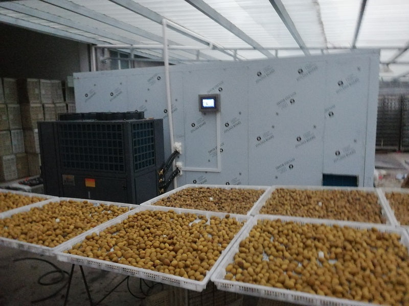 Drytech dehydrator use for drying olives